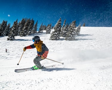 Ski Technik Training Erwachsene in Seefeld