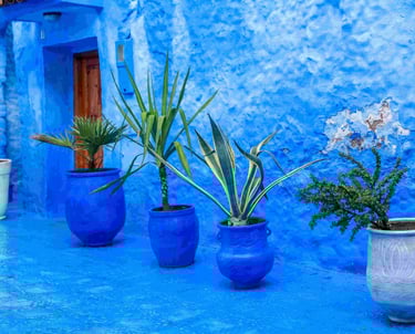 chefchaouen the blue city morocco wonders trip