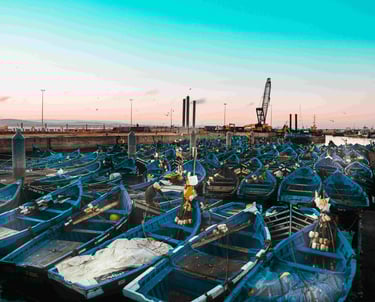 boats in essaouira port in morocco trip