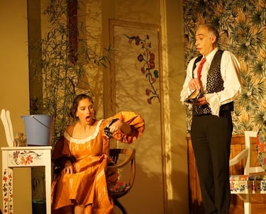 Vivien LHERAUX Pièce de théâtre Avez-vous embrassé le coq ?