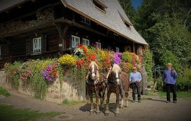 Black Forest