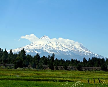 Mount Shasta