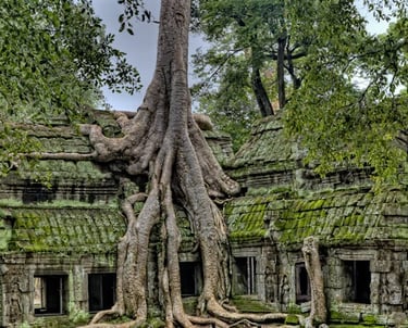 angkor wat, cambodia