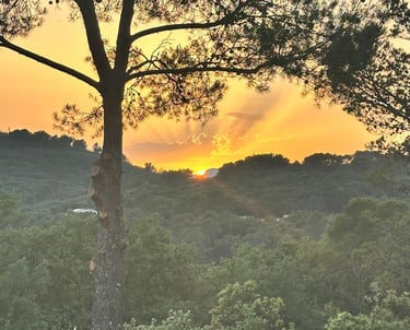 Elagage var - sunset