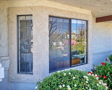 Old bronze windows bejind a green shrub.