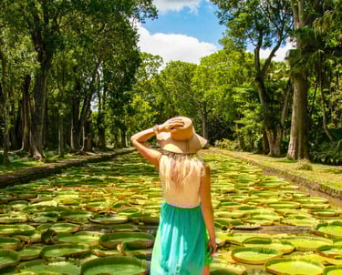 Sir Seewoosagur Ramgoolam Botanical Garden