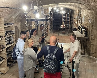 Cata vinos en Bodega privada Toledo