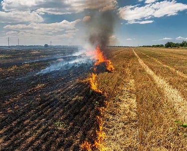 crop residue burning in India