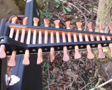 11 course lute pegbox with plum pegs