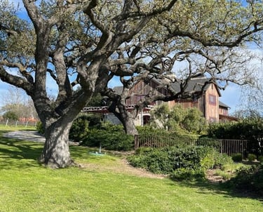 Black Oak Homes & Mortgages offers full-service real estate and mortgage solutions under one roof.