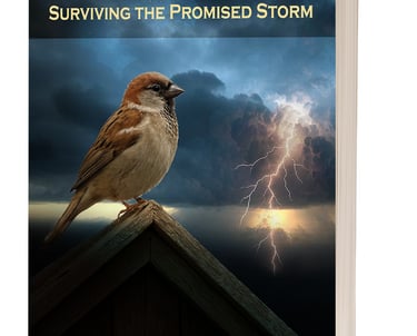 Watch, Lone Sparrow Christian fiction book series