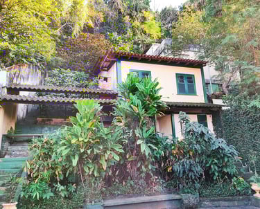 a house with a large garden and a large tree