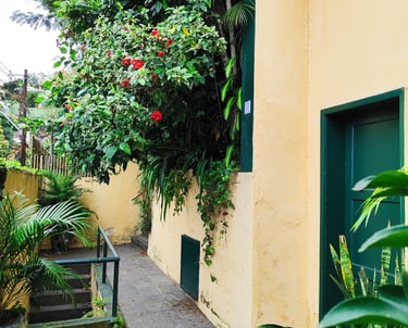 a narrow alley with a green door and a green door