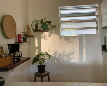 a kitchen with a potted plant in the middle of the room