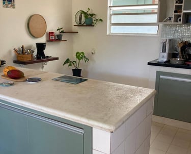 a kitchen with a counter top and a potted plant