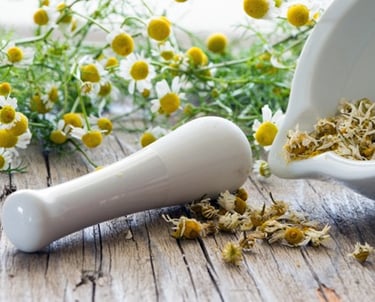 Bio-Kamillenblüten aus Ägypten – schonend getrocknet für Tees und Hautpflege