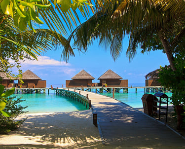 Tropical beach path to ocean bungalows with palm trees and aqua water—Maldives overwater resort accommodations