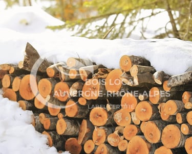 un tas de bûches recouvert de neige