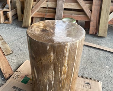 Arcanum Petrified Wood