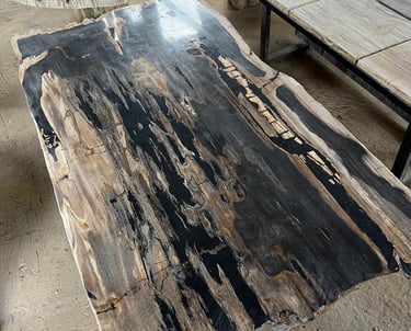 Arcanum Petrified wood