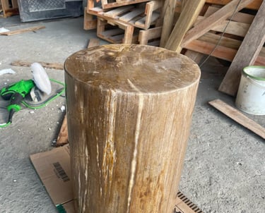 Arcanum Petrified wood