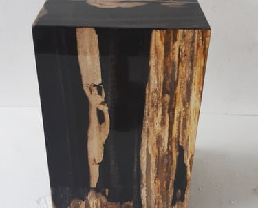 Petrified wood cube with natural mineral veins — Part of Arcanum