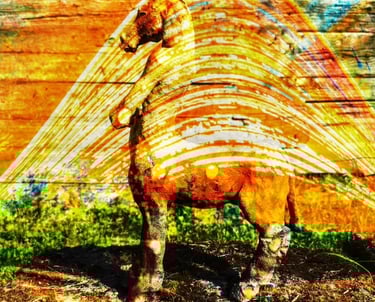 Artistic double exposure of a horse in front of a wooden wall, combined with a Centaurus statue and six months of sunlight.