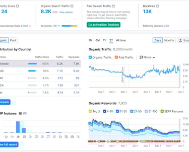 seo-dashboard-domain-overview-of-small-business-website-featuring-traffic-keywords-and-site-authority