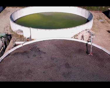 Avant/après d'appliquer enviro shade balls Bloque la lumière UV, réduit la prolifération des algues