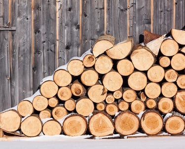 tas de troncs coupés