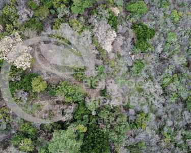 vue prise du dessus d'une foret