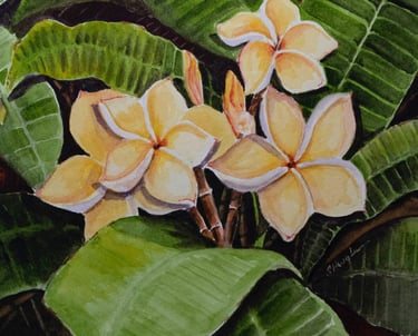 Plumeria Painting