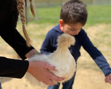 exemple de sortie éducative à la ferme