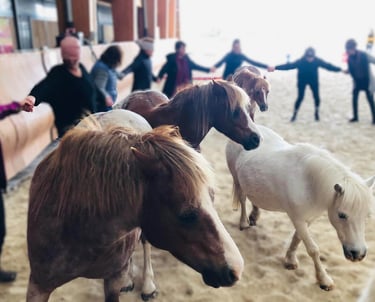 séance d'équithérapie de groupe