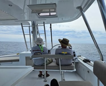 Skippered sailboat delivery and crew services