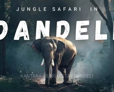 dandeli jungle safari
