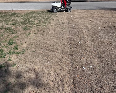 weed control the difference