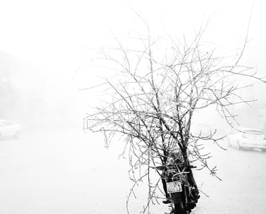 Benoît Daniel-Pham, documentary, street photography, Leica