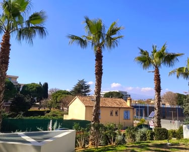 Elagage de 5 palmiers washingtonias pour l'une de nos copropriétés situé à Antibes dans le 06.