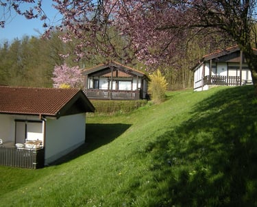 Bungalows am Waldrand.