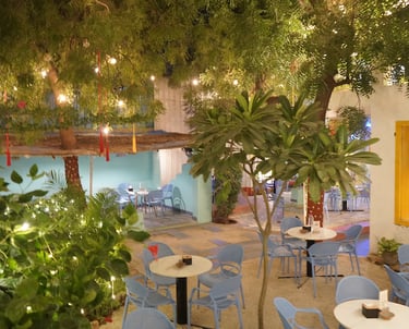 Basil The OtherSide Ambiance with greenery Ahmedabad