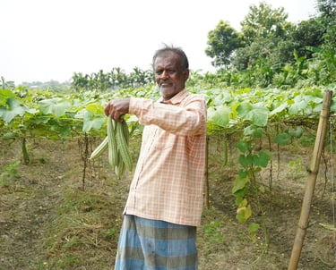 Sustainable farming