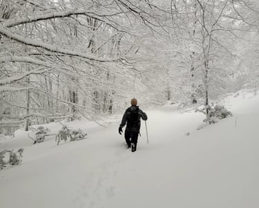 CURRUHUINCA INVERNAL