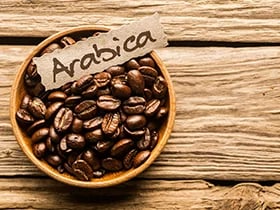 Arabica Coffee