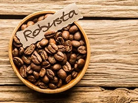 Robusta Coffee
