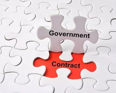 A white puzzle piece labeled government fitting into a red slot labeled contract.