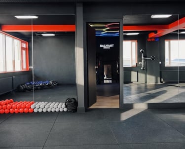 Reykjavik Fight Club