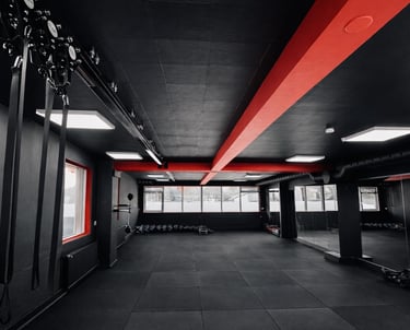 Reykjavik Fight Club