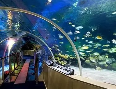 Sea Life Londres: Aquário de Londres Aquário: mais de 600 espécies. Idade ideal: Todas as idades