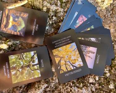 cartes de photos d'arbres posées au sol